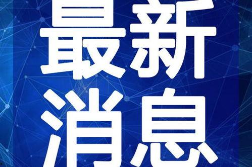 大佛最新爆料新闻报道视频,揭秘事件背后惊人真相